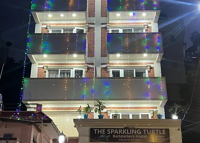The Sparkling Turtle Backpackers Hostel