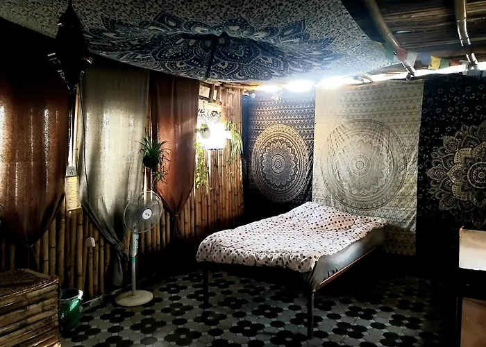 Mystic Vibes Fitness -Modern Yogi Commune
