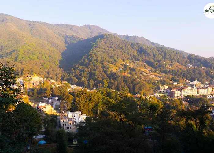 Natural View Resort