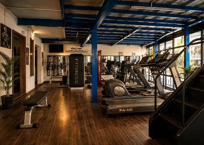 Mystic Vibes Fitness -Conscious Living Commune