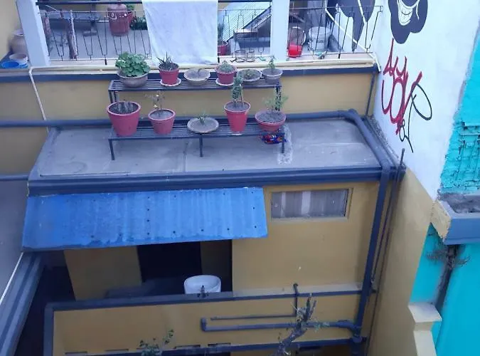 Fat Farm Hostel